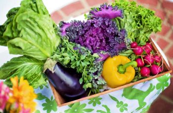 An assortment of brightly colored vegetables 